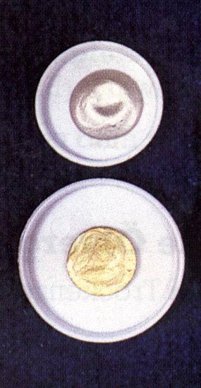 Rota Muschelsilber klein (1g)