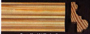 Leiste Buche
